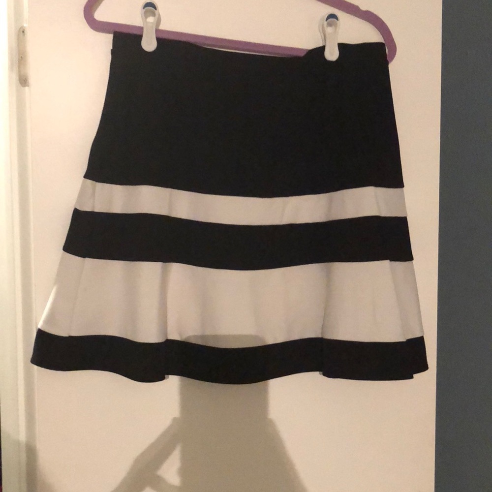 💘 Valentine’s SALE!  black and white skater skirt